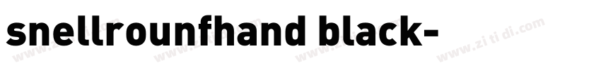 snellrounfhand black字体转换